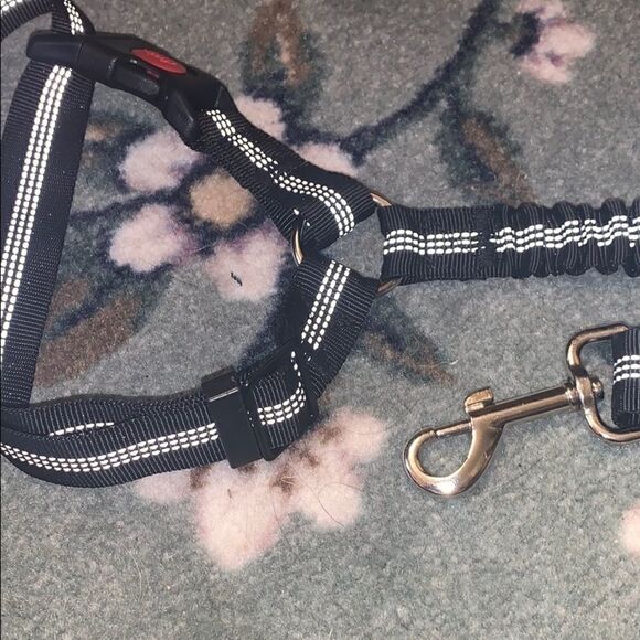 Medium size dog harness  - Picture 5 of 5